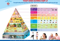 Dinh Dưỡng Buổi Sáng – Sức Khỏe Tốt Đến Từ Một Nền Tảng Sức Khỏe Vững Chắc