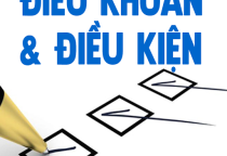 Điều kiện và Điều khoản sử dụng