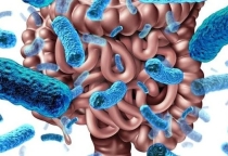 Tiềm Năng Cá Nhân Hóa Dinh Dưỡng: Phân Tích Hợp Tác Chiến Lược Của Amway và HEM Pharma Trong Nghiên Cứu Hệ Vi Sinh Đường Ruột (Microbiome)