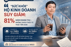 Sức Khỏe Hộ Kinh Doanh Suy Giảm: Góc Nhìn Và Giải Pháp 2026