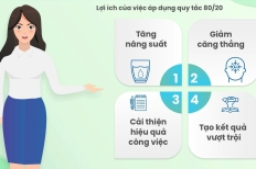 Từ "Bận Rộn Vô Nghĩa" Đến "Hiệu Suất Đột Phá": Đòn Bẩy 80/20 Của Người Dẫn Đầu