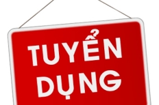 Tuyển Dụng Chuyên Viên Môi Giới Bất Động Sản Tại TP. Hồ Chí Minh – Cơ Hội Nghề Nghiệp Đột Phá