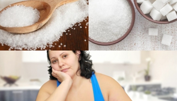 Tối Ưu Hóa Vóc Dáng Bằng Dinh Dưỡng Thực Vật  Và Chiến Lược Tăng Cân Đích Thực Và Giảm Cân Bền Vững