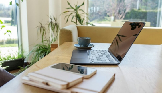 Xu Hướng Thị Trường Lao Động Tự Do 2025: Các Kỹ Năng Nhu Cầu Cao và Lộ Trình Phát Triển Chuyên Nghiệp