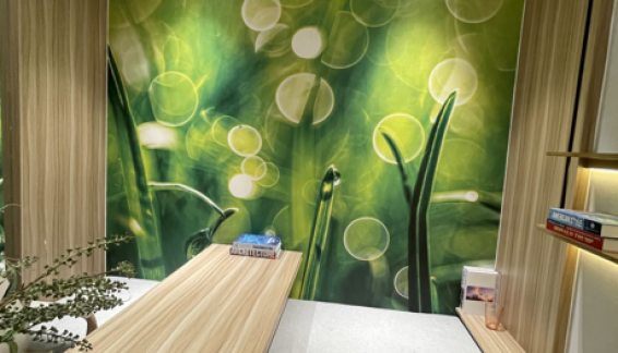 Decor Bằng Tranh Vẽ – Xu Hướng Trang Trí Độc Đáo Cho Không Gian Sống