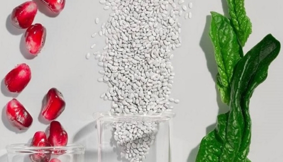 Mỹ Phẩm Thuần Chay Có Tốt Không? Xu Hướng Tiêu Dùng Thông Minh 2025 và Lợi Ích Khoa Học