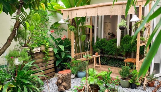 Landscape - Thiết Kế Và Thi Công Không Gian Xanh: Kiến Tạo Sự Gắn Kết Giữa Thiên Nhiên Và Cuộc Sống