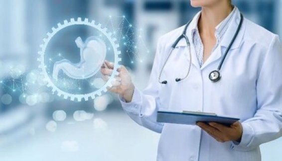 Sức Khỏe Đường Ruột: Nền Tảng Vàng Cho Cuộc Sống Khỏe Mạnh