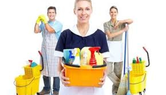 Cuộc Cách Mạng Xanh Trong Vệ Sinh Công Nghiệp: Khi Sạch Sẽ Tự Nhiên Trở Thành Lợi Thế Cạnh Tranh Bền Vững