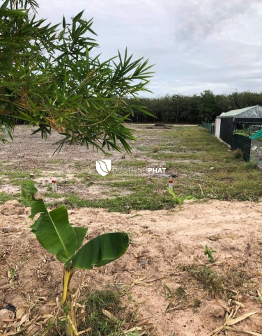 MUA ĐẤT NỀN TÂY NINH – VỊ TRÍ ĐẮC ĐỊA, KẾT NỐI TRUNG TÂM THÀNH PHỐ!