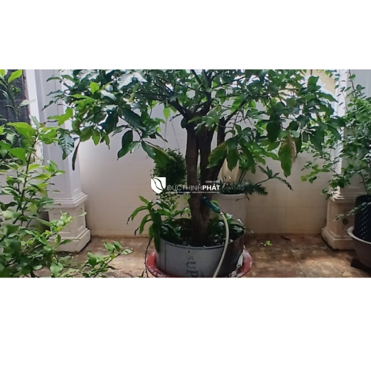 🏡 NHÀ ĐẸP PHÚ MỸ, QUẬN 7 – ĐƯỜNG SỐ 2 HOÀNG QUỐC VIỆT – 51M² – 4 TẦNG – GIÁ 8.6 TỶ