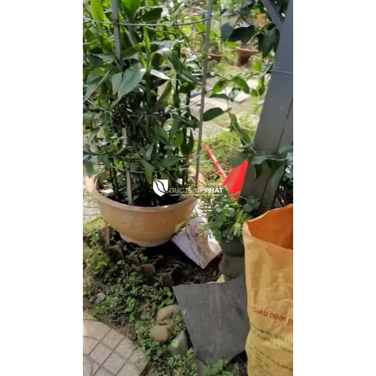 🔥 GIA ĐÌNH KẸT TIỀN BÁN GẤP - NHÀ VƯỜN NGHỈ DƯỠNG SIÊU ĐẸP TẠI MA ĐA GUI - GIẢM GIÁ SỐC CHỈ CÒN 1 TỶ 9 TL 💥