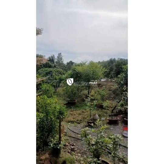 🔥 GIA ĐÌNH KẸT TIỀN BÁN GẤP - NHÀ VƯỜN NGHỈ DƯỠNG SIÊU ĐẸP TẠI MA ĐA GUI - GIẢM GIÁ SỐC CHỈ CÒN 1 TỶ 9 TL 💥