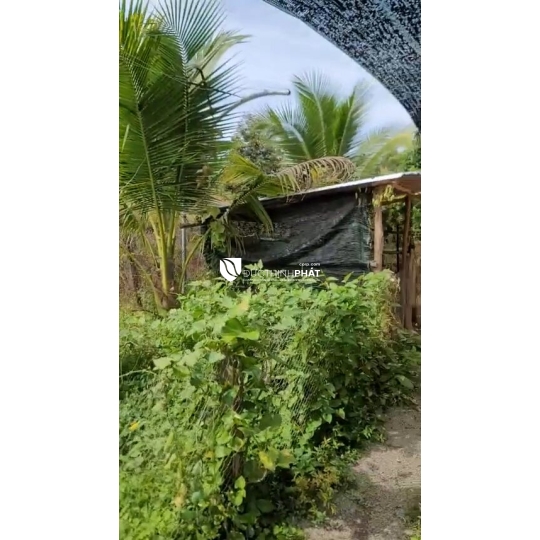 🔥 GIA ĐÌNH KẸT TIỀN BÁN GẤP - NHÀ VƯỜN NGHỈ DƯỠNG SIÊU ĐẸP TẠI MA ĐA GUI - GIẢM GIÁ SỐC CHỈ CÒN 1 TỶ 9 TL 💥