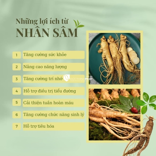 Tinh Dầu Sâm DHMART
