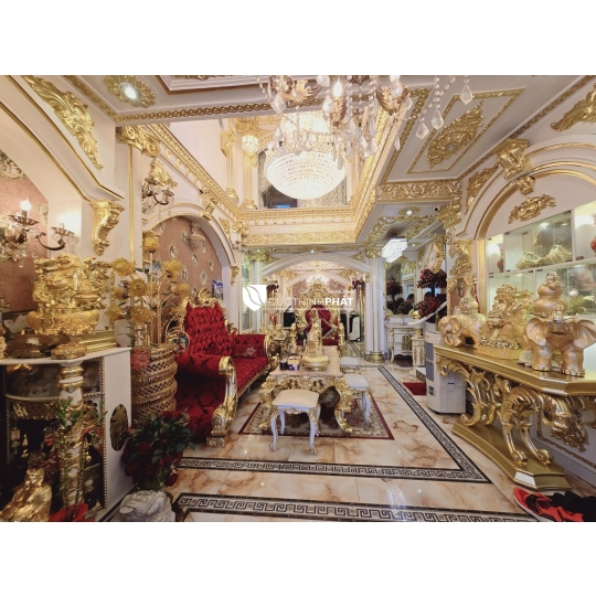 Bán Biệt Thự Dát Vàng 18K - Đường Số 17, Tân Thuận Tây, Quận 7 - 62m², 5 Tầng, Giá 9.1 Tỷ