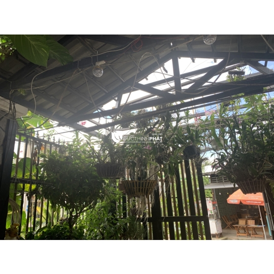 🏠 NHÀ HẺM XE HƠI TRÁNH – SÁT VÁCH QUẬN 7 – TIỆN LỢI KẾT NỐI TRUNG TÂM,  LÔ GÓC SIÊU THOÁNG – TIỆN KINH DOANH ĐA NGÀNH – CHỈ 4.5 TỶ 💎