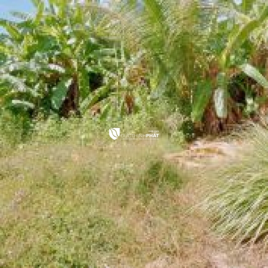 Đầu Tư Sinh Lời Cao: Đất Tây Ninh Giá Tốt – Chỉ còn 980tr - Còn thương lượng