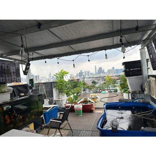 Cơ Hội Sở Hữu Mặt Tiền Đường Số 1 – Tân Kiểng, Quận 7 – 10 Phòng CHDV, Giá Bán Cực Hấp Dẫn