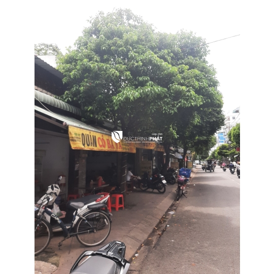 Mặt Tiền Kinh Doanh Đường Trần Thị Trọng – Phường 15, Tân Bình | Đất Vàng Xây CHDV, Văn Phòng